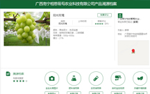 �������������ϵ�y(t��ng) 3���³ɽ�600�f